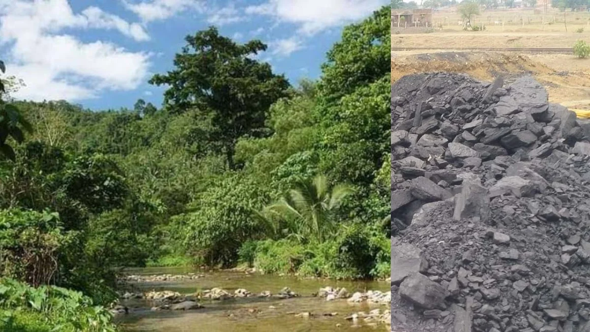 29 साल से सिकुड़ रहा सिंगरौली, 353 प्रतिशत बढ़ा कोयला क्षेत्र, आने वाले समय में आप ढूढेंगे सिंगरौली को