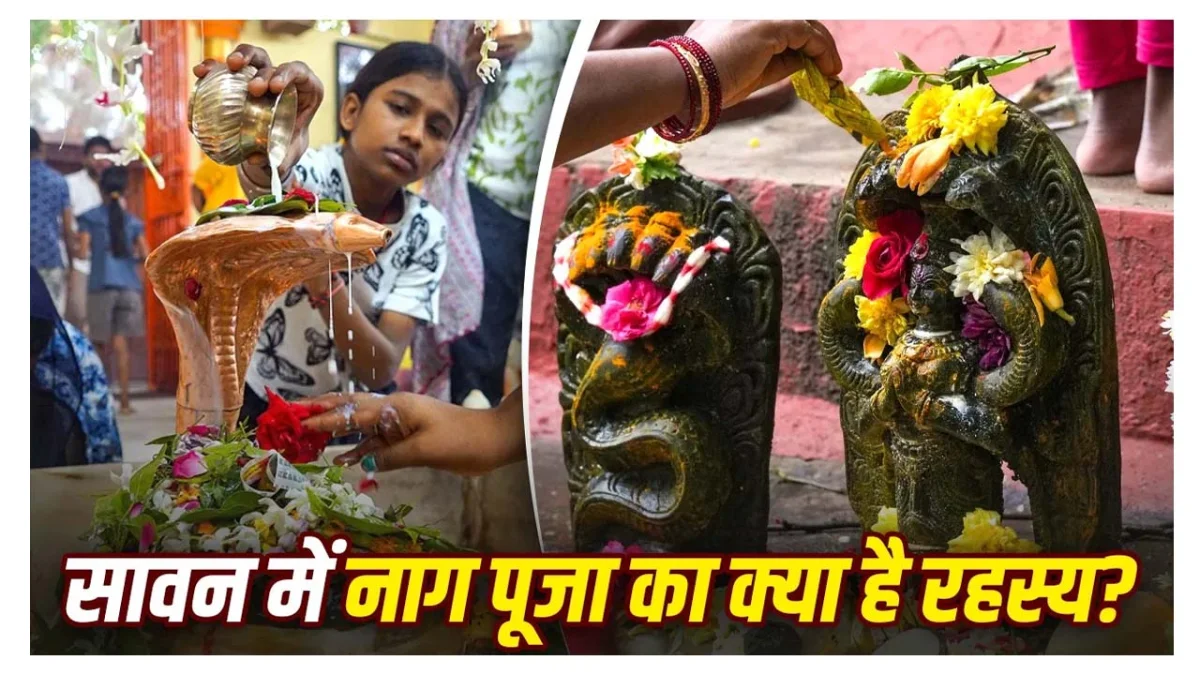 नाग पंचमी क्यों मनाते हैं? जानिए धार्मिक महत्व 