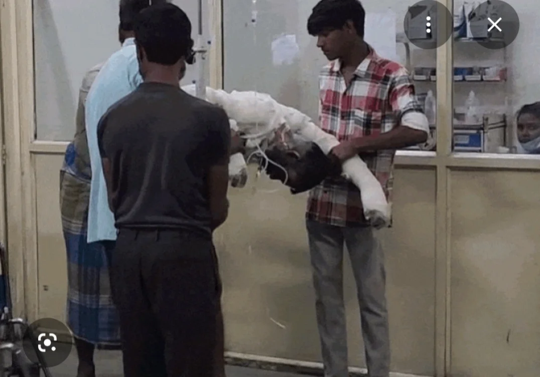 मऊगंज में 4 लोगों के ऊपर पेट्रोल डालकर लगाई आग, जिंदा जलाने की हुई कोशिश