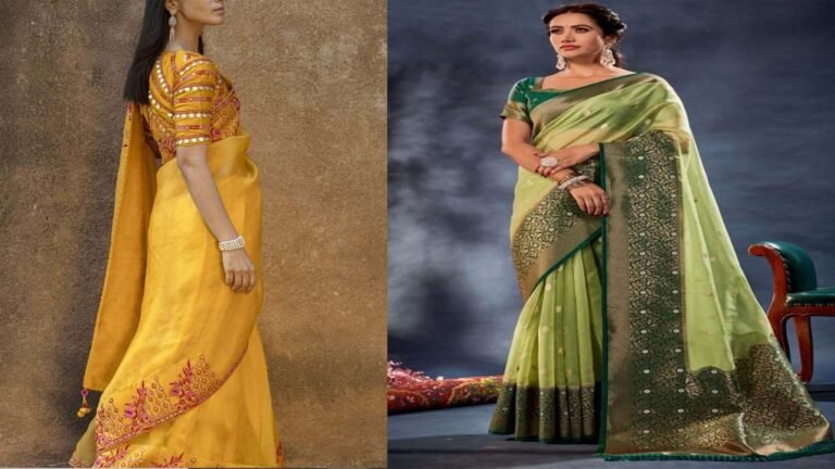 Organza saree की डिजाइन से आप लगेंगी खूबसूरत, कीजिए ट्राई