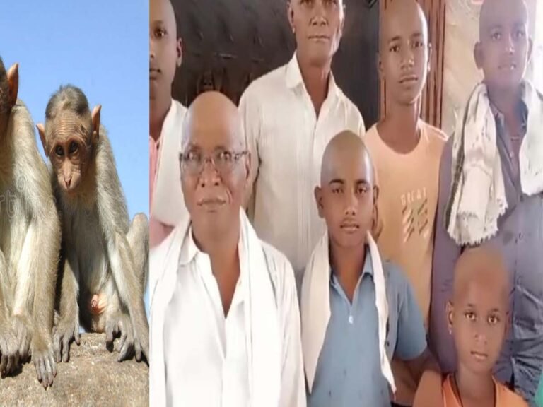 बंदर की मौत के बाद ग्रामीणों ने कराया मुंडन, देखिए Animal Lover