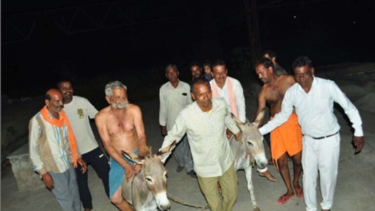MP NEWS : गधे से जोत दिया श्मशान की जमीन, कर दी नमक की खेती,, जानिए पूरा मामला