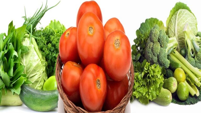 SINGRAULI में टमाटर हुआ सस्ता, भाव पहुंचा ₹40 किलो