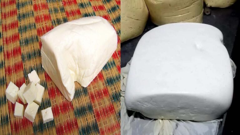 MP में खफाया जा रहा नकली पनीर, पुलिस ने किया 150 KG पनीर जप्त