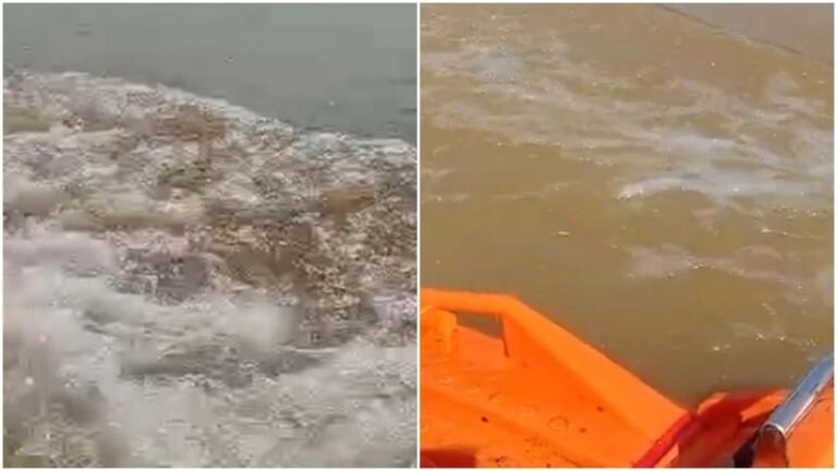 REWA में कर्ज से परेशान युवक ने दो बच्चों के साथ नदी में लगाई छलांग, दो के शव मिले