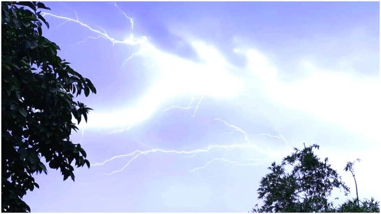 CG NEWS - बलौदाबाजार जिले में आकाशीय बिजली का कहर