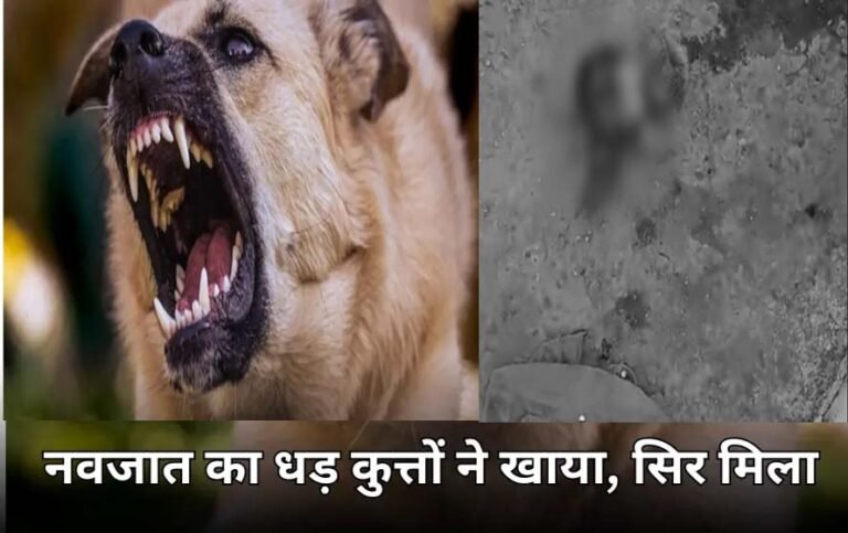 MP : कुत्तों ने चबा लिया नवजात का शरीर, पुलिस को सिर्फ सिर मिला