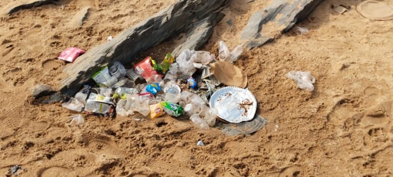 SONBHADRA - Tourists gave heaps of garbage in return for the beauty of Abadi