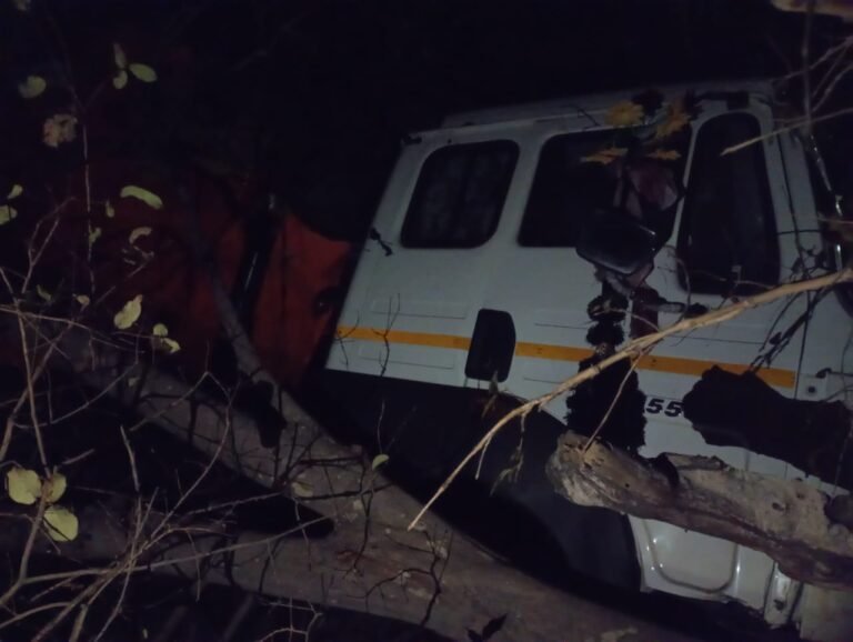 SINGRAULI - सिंगरौली में हुआ सड़क हादसा, पति पत्नी की हुई एक साथ मौत