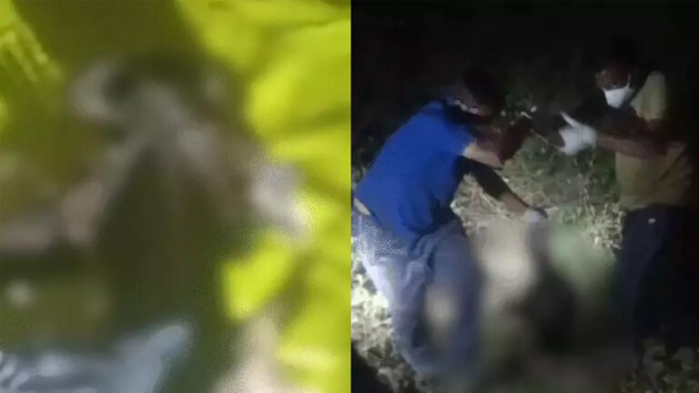 बेटा बन गया अपने ही पीता का कातिल, जानिए वजह