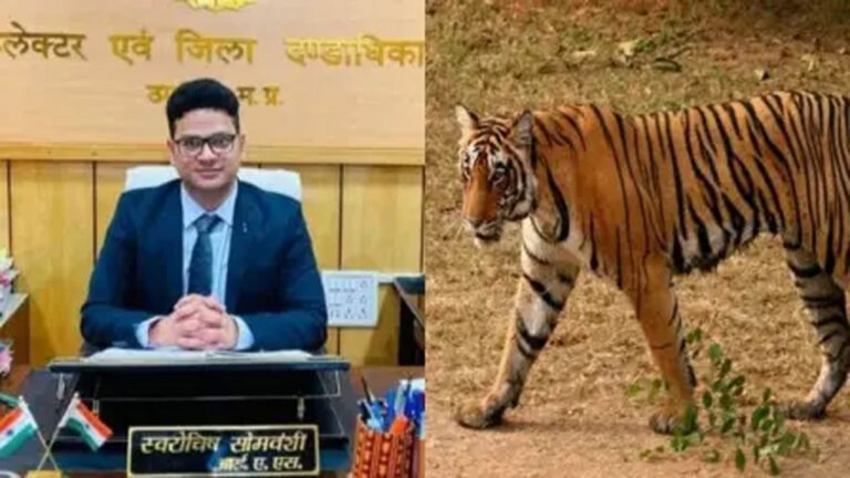 विवादों में सीधी कलेक्टर स्वरोचिष सोमवंशी, मामला जंगल में जिप्सी से घूमने का