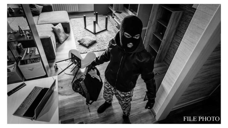 सिंगरौली - महिला से बैग छीन कर भागे चोर, नवानगर पुलिस दर्ज किया मामला