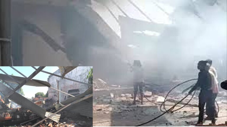 Gujarat Fire - गुजरात की पटाखा फैक्ट्री में ब्लास्ट, 17 की मौत
