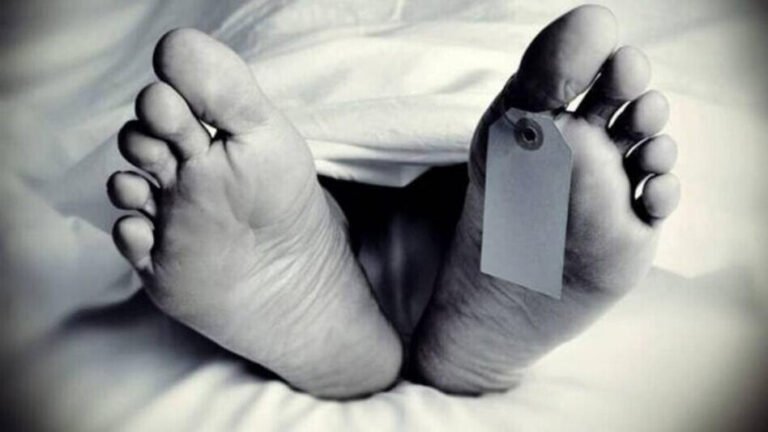 MP- तेज रफ्तार तूफान गाड़ी पुलिया से टकराकर 10 फिट गहरी खाई में गिर गई, 6 लोगों की मौत