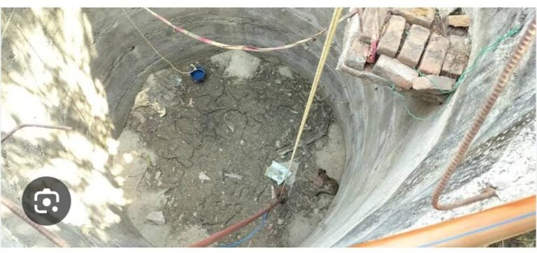 MP- सूखे कुएं में गिरा तेंदुआ शावक, वन विभाग ने किया रेस्क्यू