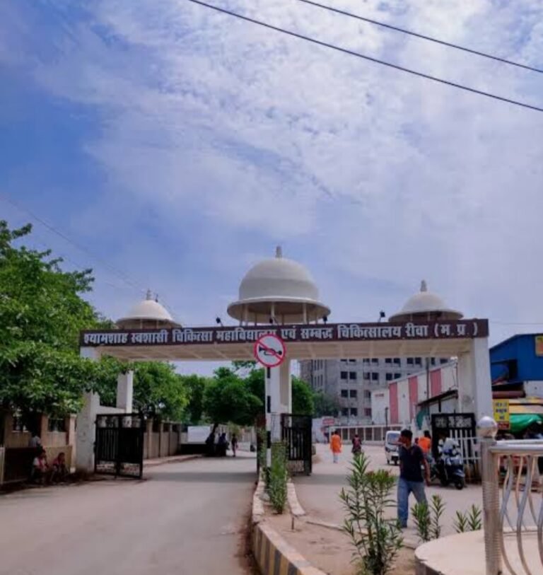 रीवा में भीषण सड़क हादसा