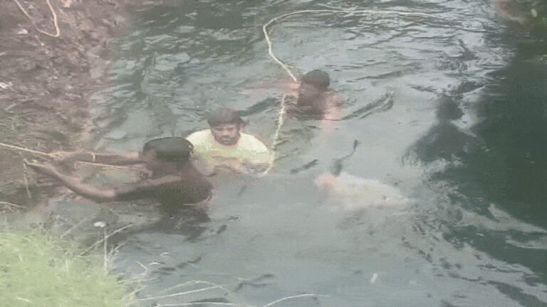 MP : बकरी चराने गए 2 युवको की कुआ में डूबने से मौत