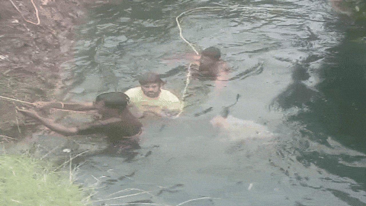 MP : बकरी चराने गए 2 युवको की कुआ में डूबने से मौत