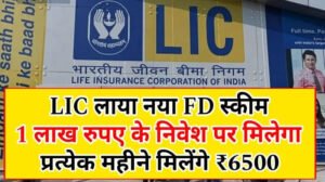 LIC FD Scheme : एलआईसी ने लांच किया नया FD स्कीम, 1 लाख रुपए करें निवेश, और प्रत्येक महीने मिलेंगे 6500 रुपए