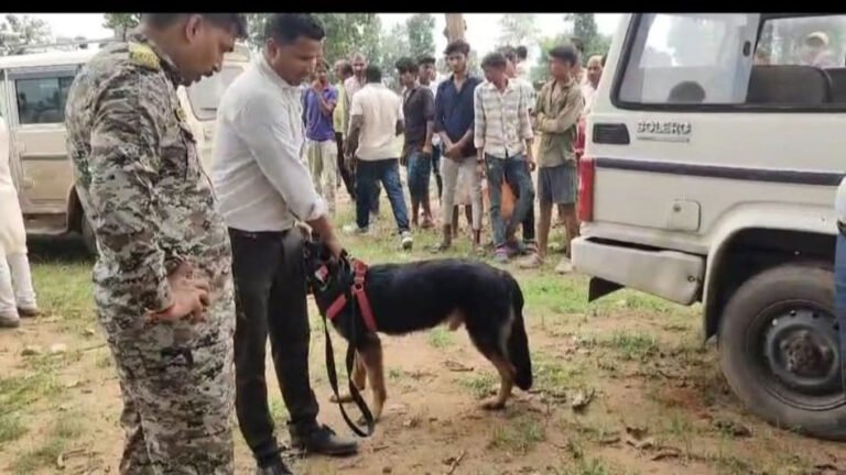 Singrauli - नदी किनारे जंगल में मिला लापता युवक का शव, परिजनों में मचा कोहराम