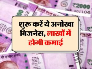Business idea : शुरू करें ये अनोखा बिज़नेस, 30 रुपये में
