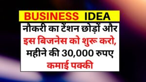 Business idea : शुरू करें ये अनोखा बिज़नेस, 30 रुपये में