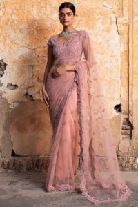 Saree Design : इन रंगों की साड़ियों को पहनकर आपको मिलेगा रॉयल लुक