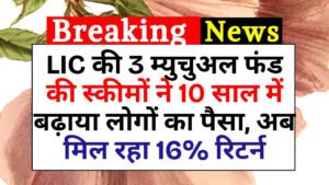 LIC की 3 म्युचुअल फंड की स्कीमों ने 10 साल में बढ़ाया लोगों का पैसा 3 LIC की 3 म्युचुअल फंड की स्कीमों ने 10 साल में बढ़ाया लोगों का पैसा
