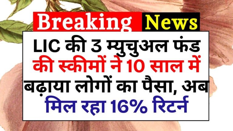 LIC की 3 म्युचुअल फंड की स्कीमों ने 10 साल में बढ़ाया लोगों का पैसा