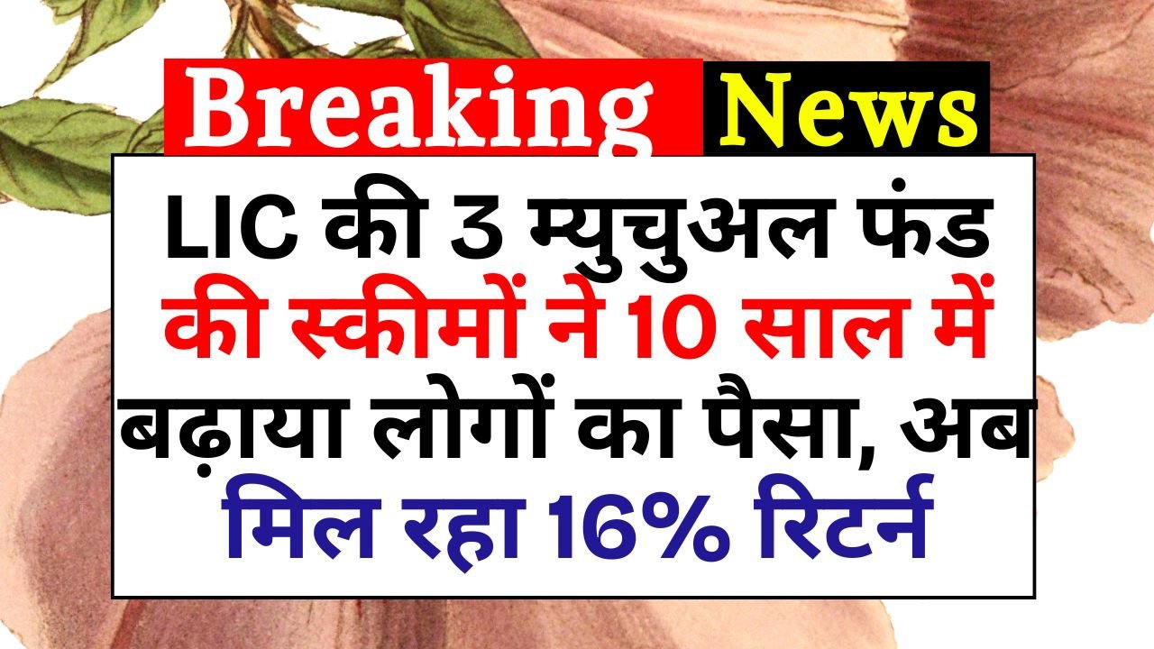 LIC की 3 म्युचुअल फंड की स्कीमों ने 10 साल में बढ़ाया लोगों का पैसा