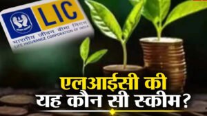 LIC की 3 म्युचुअल फंड की स्कीमों ने 10 साल में बढ़ाया लोगों का पैसा 1 LIC की 3 म्युचुअल फंड की स्कीमों ने 10 साल में बढ़ाया लोगों का पैसा