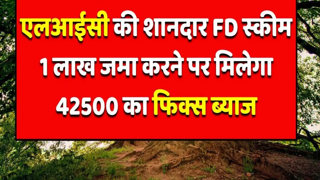 LIC Scheme 2025: LIC की नई FD स्कीम में मिलेगा ₹1 लाख पर ₹42,500 का फिक्स ब्याज