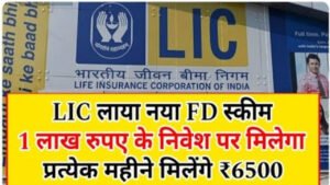 LIC New FD scheme:1 लाख रुपये निवेश करें और 6,500 रुपये प्रति माह पाएँ, LIC की सबसे बेहतरीन बचत योजना