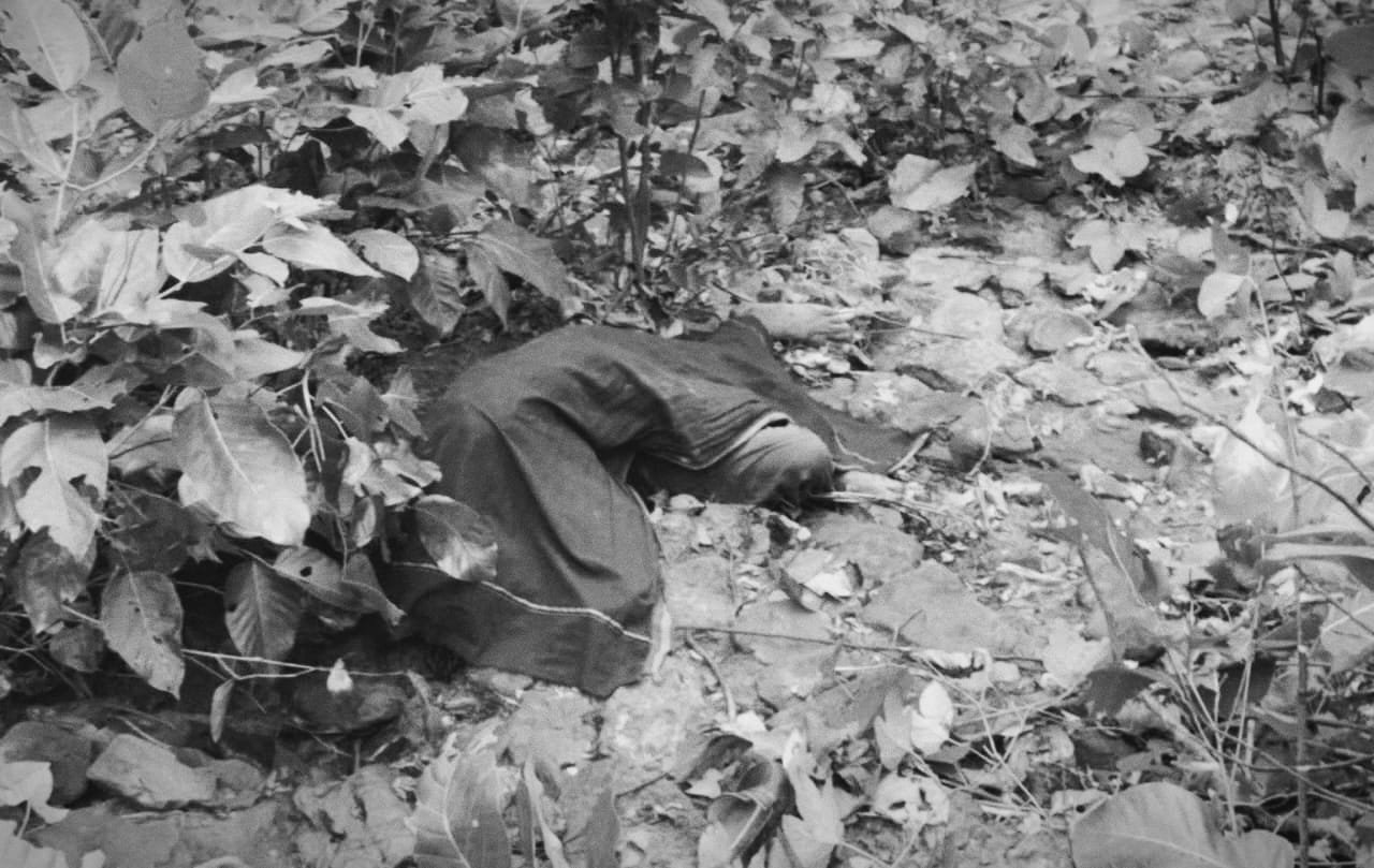 SINGRAULI - भालू ने तीन लोगों पर किया हमला, 02 लोगों की हुई दर्दनाक मौत