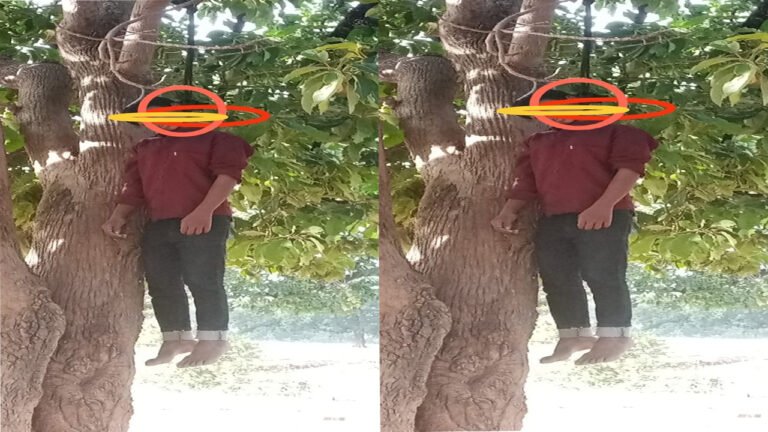 Singrauli - पेड़ पर फांसी लगाकर युवक ने किया आत्महत्या