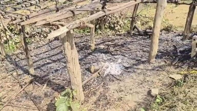 SINGRAULI - गांव में झोपड़ी में सो रहे बुजुर्ग की आग लगने से मौत