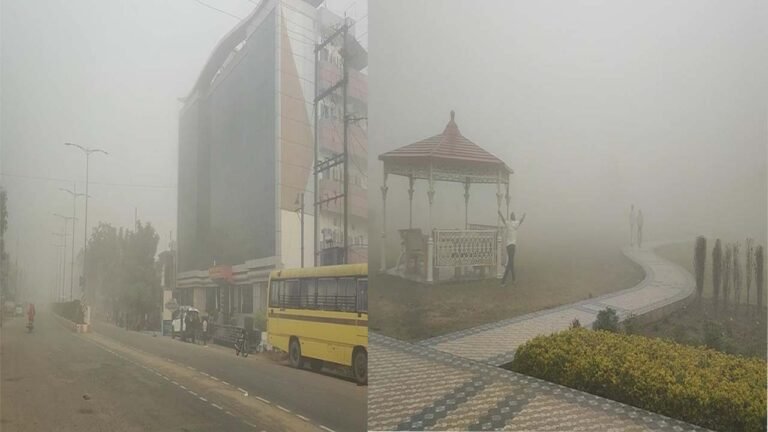 Singrauli : सिंगरौली में छाया कोहरा, बढ़ी ठण्ड