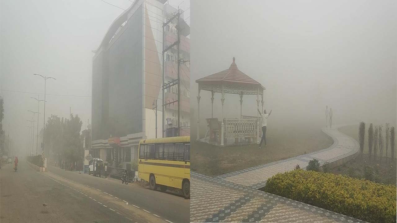 Singrauli : सिंगरौली में छाया कोहरा, बढ़ी ठण्ड