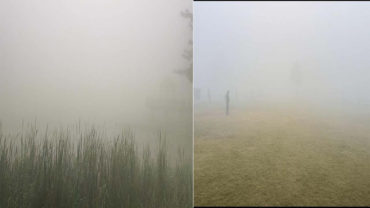 Singrauli : सिंगरौली में छाया कोहरा, बढ़ी ठण्ड