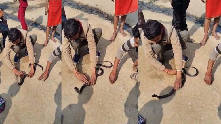 MP सांपों से घंटों खेलता रहा युवक, वायरल हुआ वीडियो