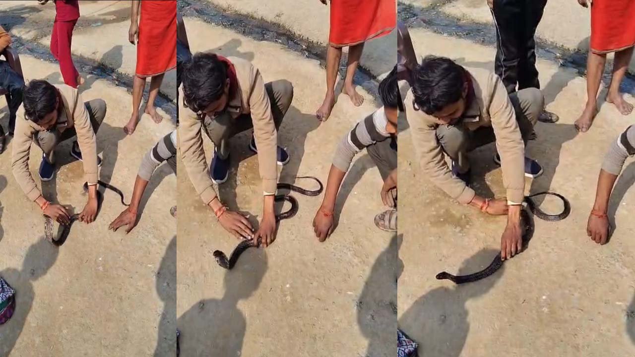 MP सांपों से घंटों खेलता रहा युवक, वायरल हुआ वीडियो