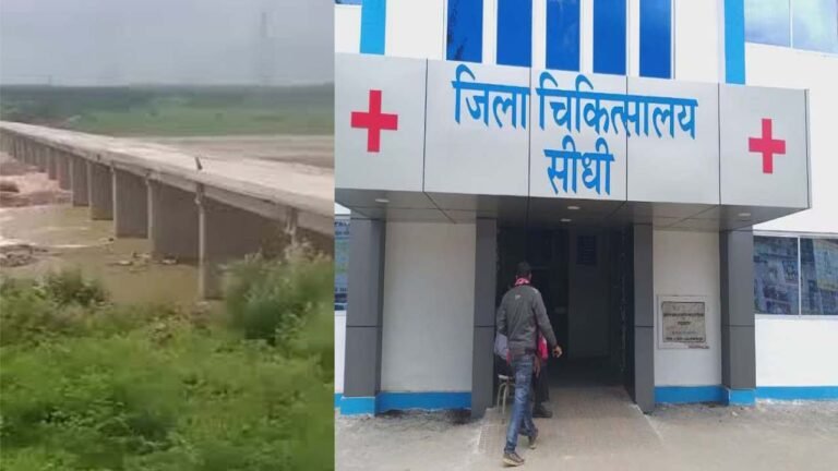 सीधी - सोन नदी के पुल से महिला ने लगा दी छलांग