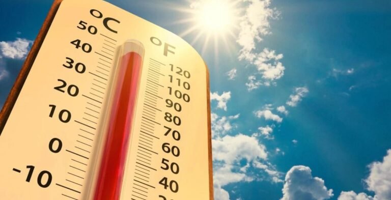 भारत में गर्मी ने समय से पहले दी दस्तक, मार्च में बढ़ सकता है तापमान, फसलों और बिजली पर असर की आशंका