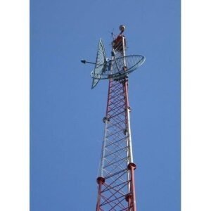 सीधी: पत्नी के मायके जाने से नाराज युवक हाई वोल्टेज ड्रामे के साथ टावर पर चढ़ा