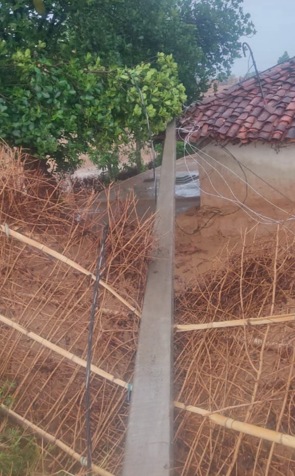 SINGRAULI - तेज आंधी-बारिश में विद्युत खंभा मकान पर गिरा, बड़ा हादसा टला