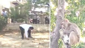 Video : बुलंदशहर में अचानक पेड़ से होने लगी नोटों की बारिश! बंदर ने हवा में उड़ाए 500-500 के नोट